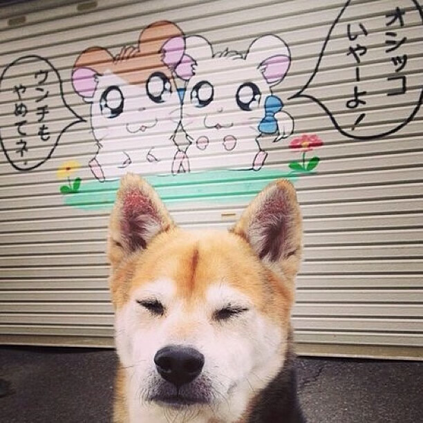 全民健身日活动中，篮球成为最受欢迎项目之一，全民健身篮球赛