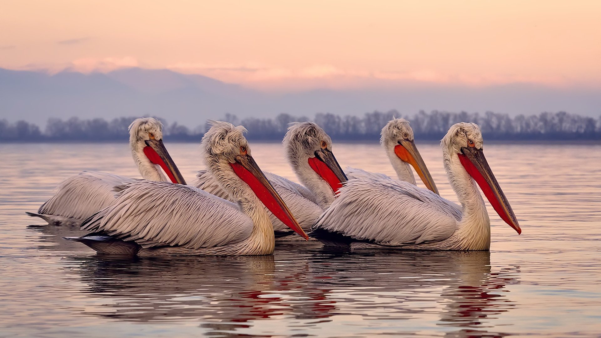 九游娱乐(jiuyou)官方网站-各队“战术大比拼”：谁的战局更具智慧？，队伍战术