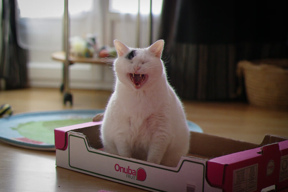 号召全民参与:电竞励志公益赛事纷纷上线,电竞全明星公益赛