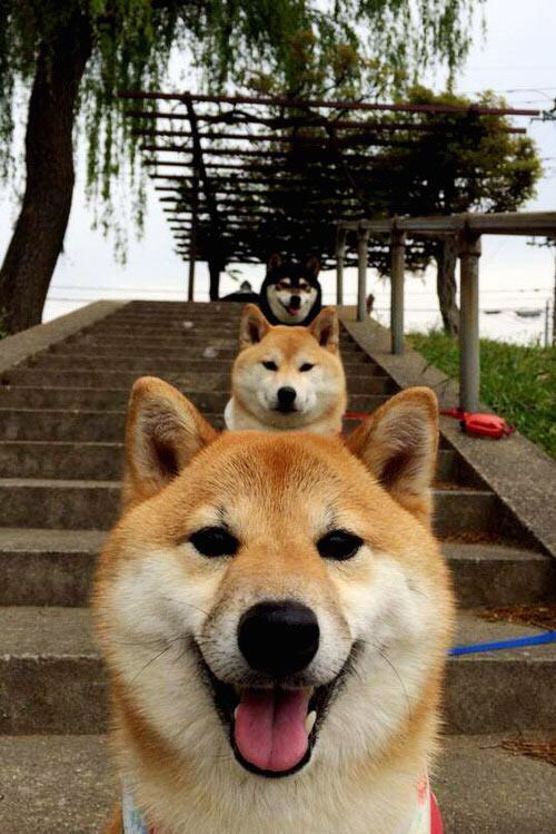 墨西哥骑手卡洛斯·汉克在巴黎奥运会上首次亮相即夺得障碍赛银牌,表现出色。