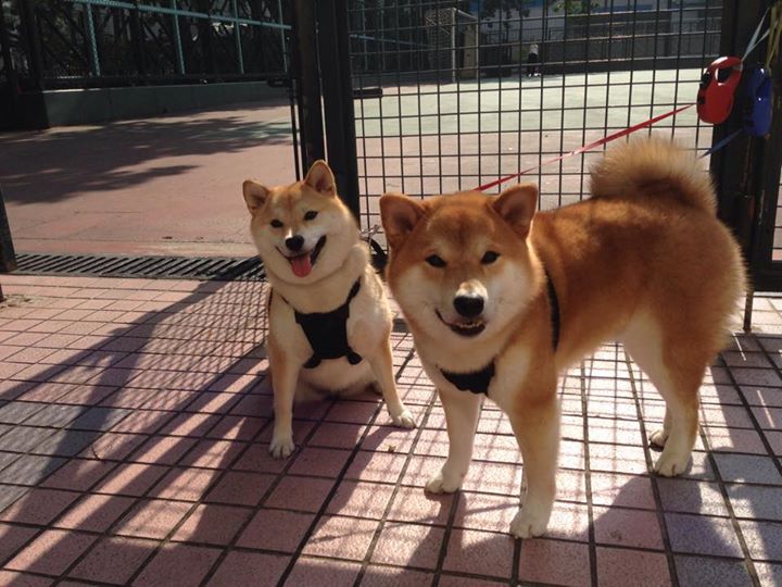 九游网页版官网-本轮MVP：他是球队获胜的最大功臣，本队mvp什么意思