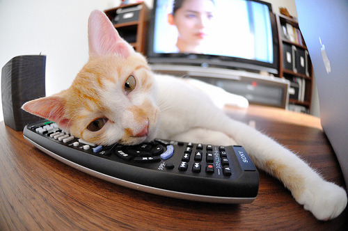 车手慈善行动感动人心,赞助车手的内容