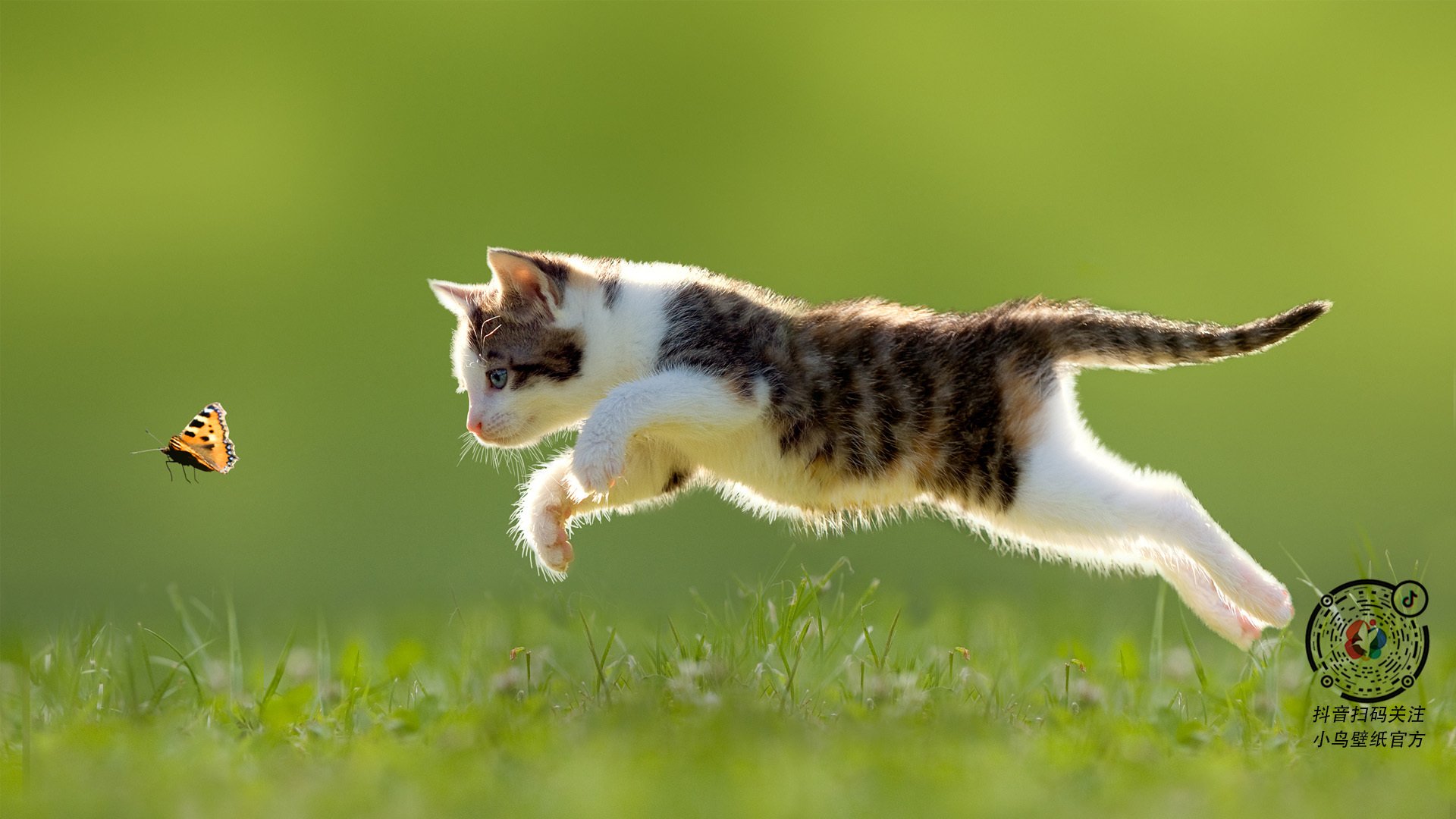 九游电脑版-青少年“创意篮球场”设计大赛在青岛圆满闭幕，青少年篮球馆盈利吗