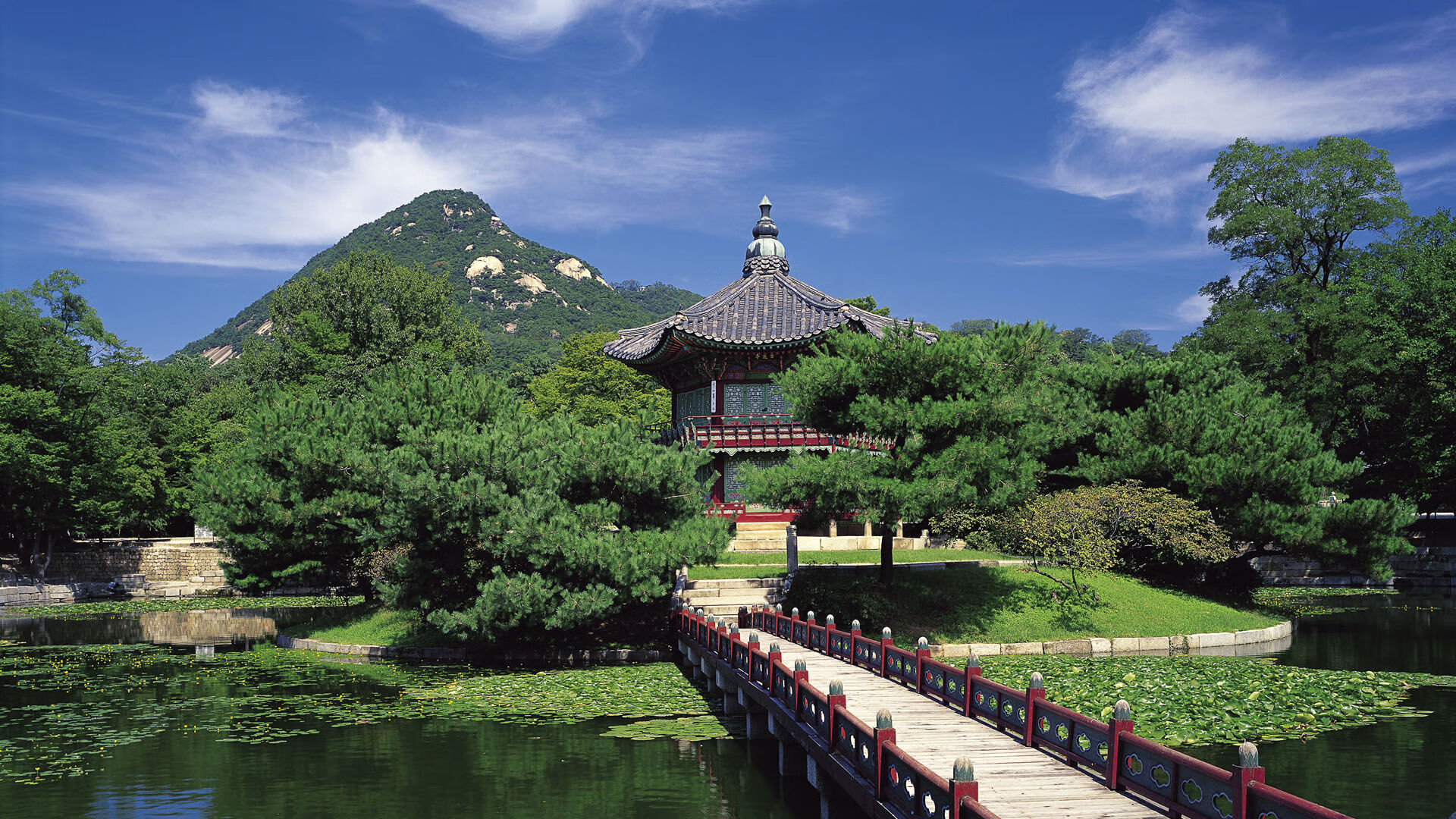 上海海港签下国际新援,上海海港官宣