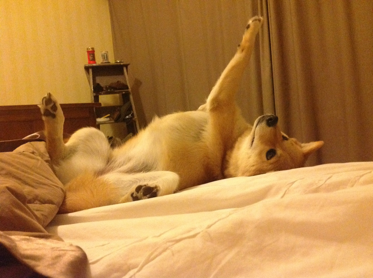 Jiu You-举办瑜伽行业论坛，探讨发展方向，举办瑜伽行业论坛,探讨发展方向的意义