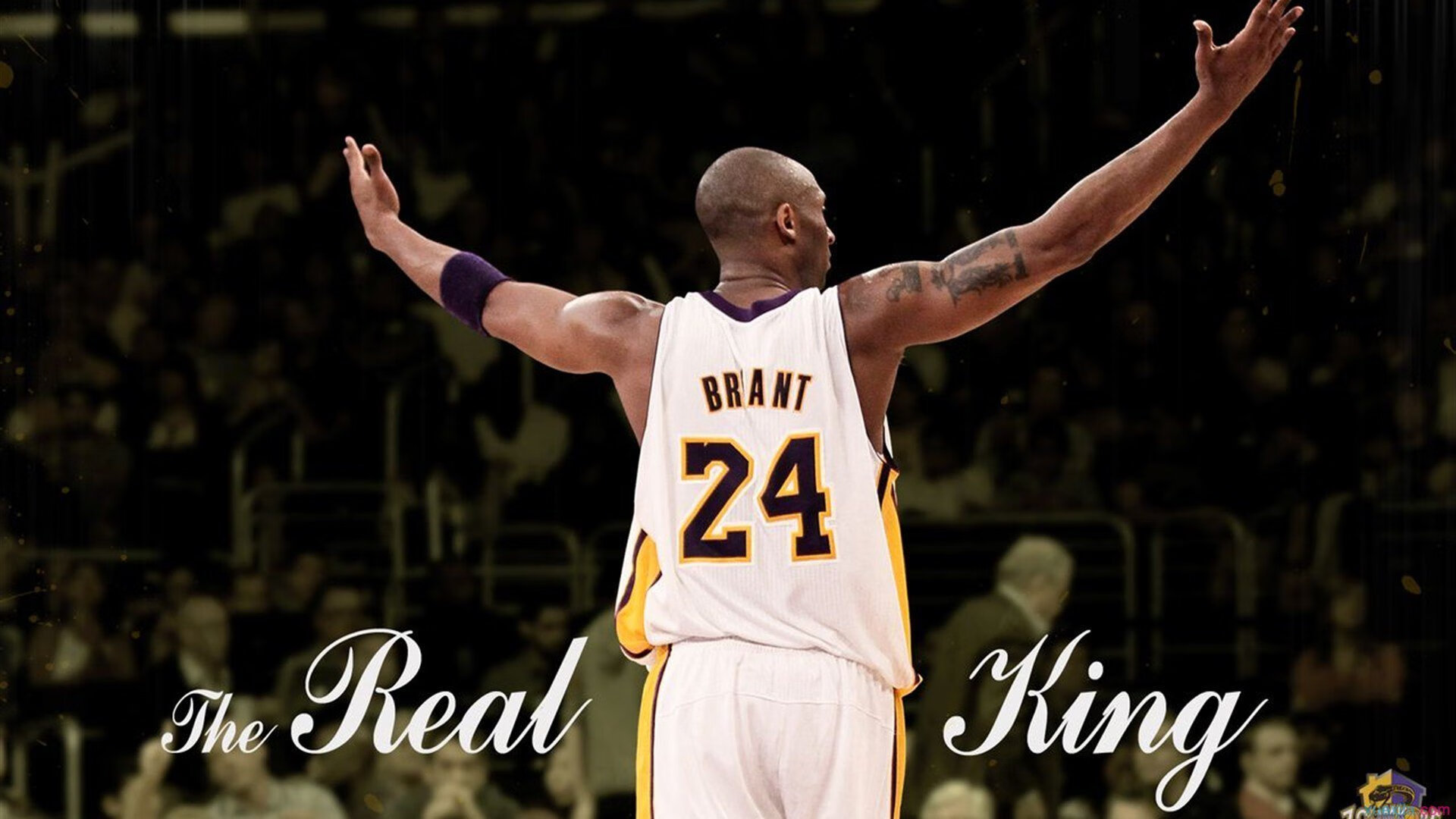 九游体育投注-NBA联盟裁判员执法公正性研究，nba最公正的裁判